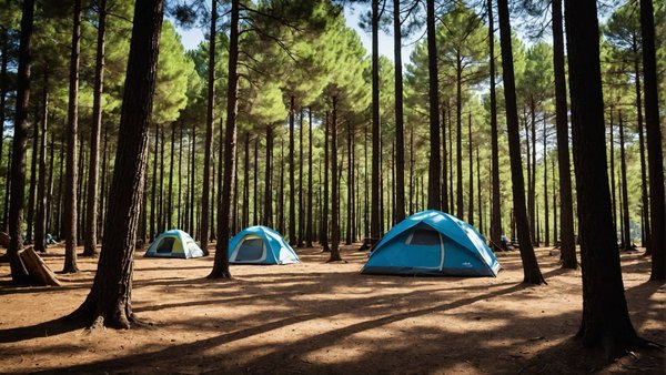Découvrez le camping var : le pradet vous attend